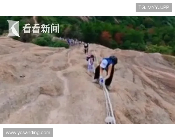 武汉攀岩队的精神探索与挑战之旅：攀岩巨献的背后故事